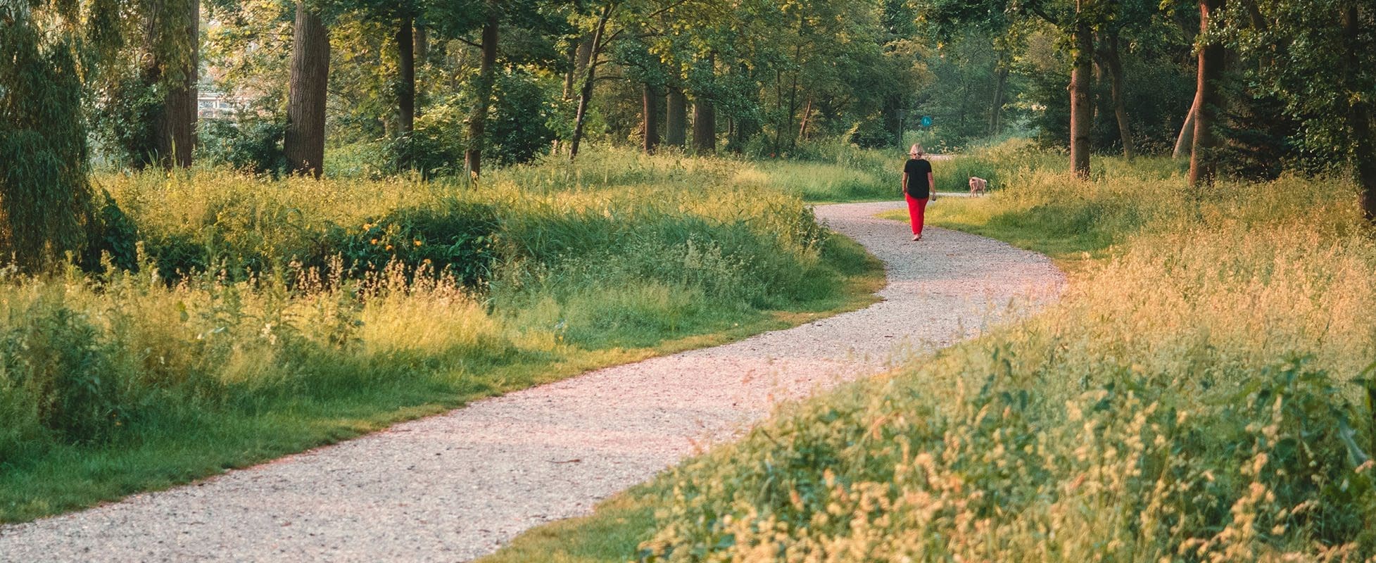 person walking down a path in spring