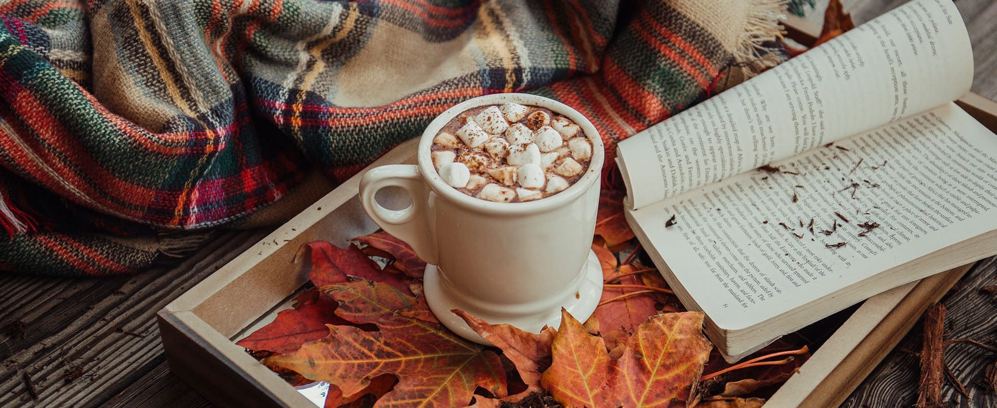fall feels with scarf hot chocolate and book