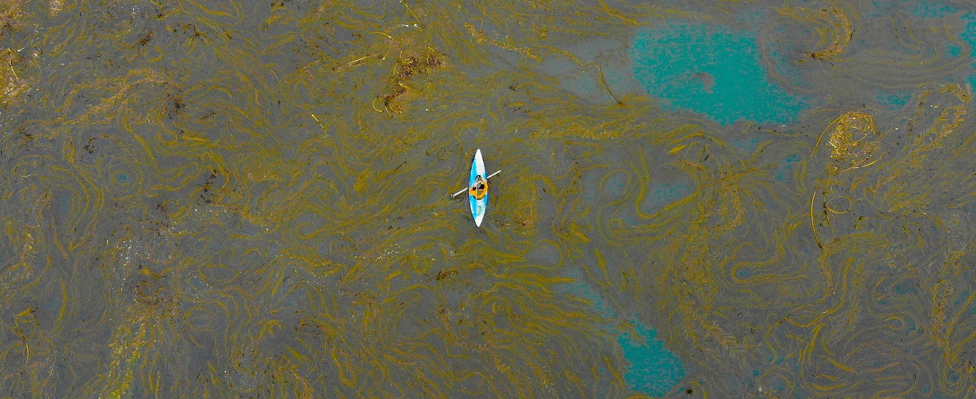 kayaker wading through oil spill