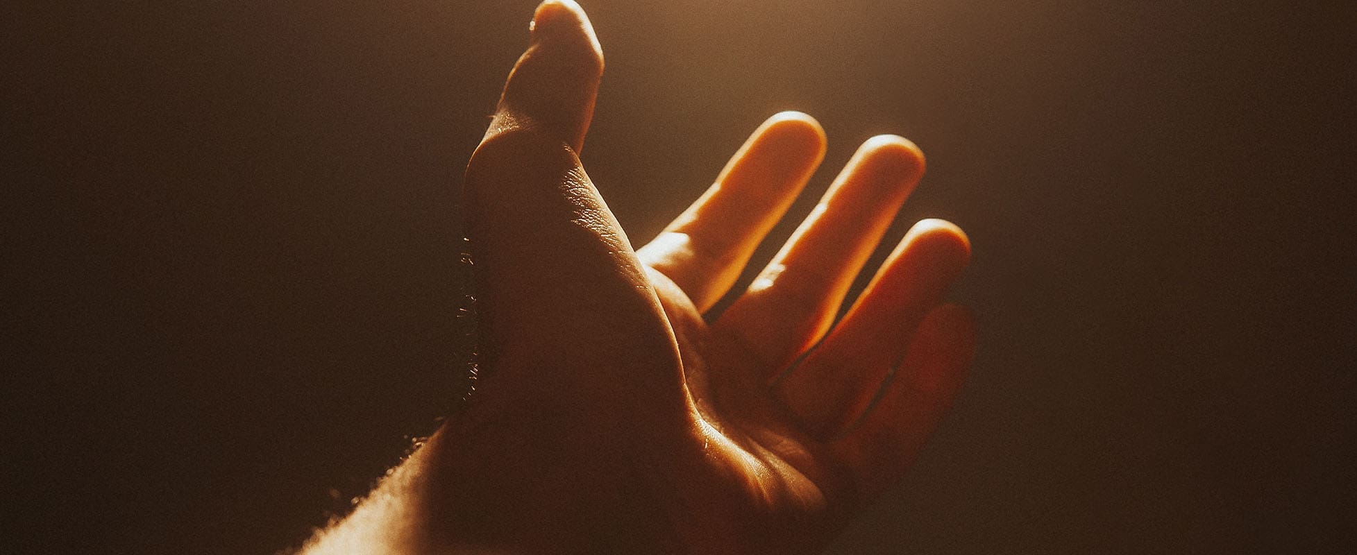 person holding hand in sunlight